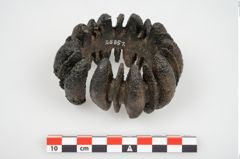 Foto von Bronzebuckelarmreif (NHMW-PRAE-025851)